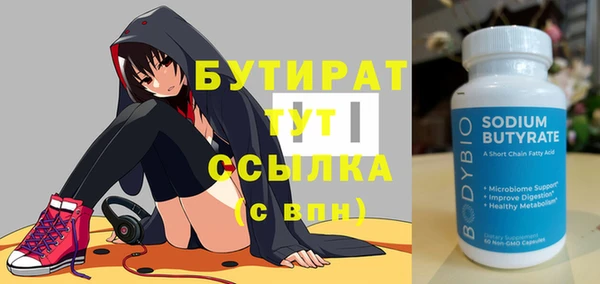 хмурый Ельня