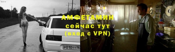 хмурый Ельня