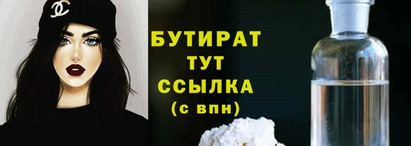 хмурый Ельня