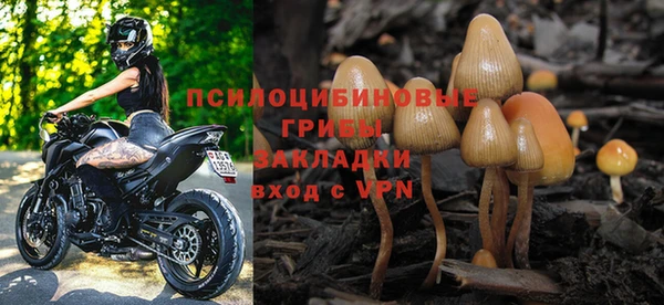 spice Елабуга