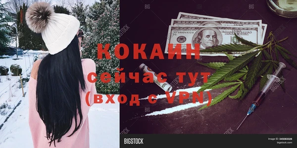 амф Зеленокумск