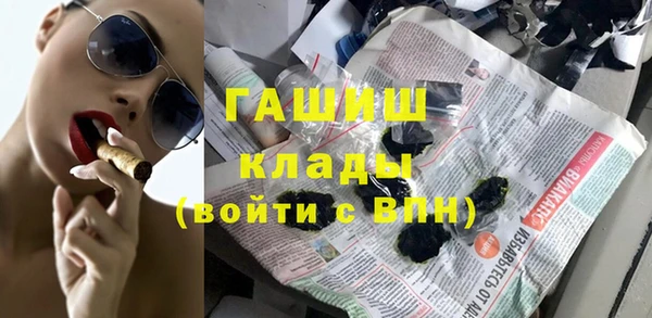 хмурый Ельня