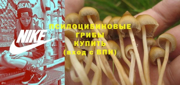 амфетамин Елизово