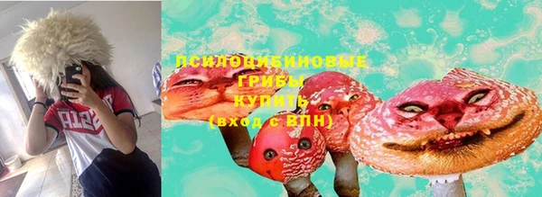 spice Елабуга