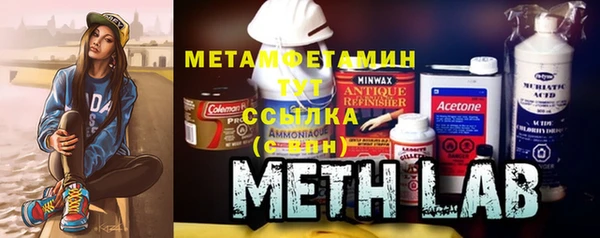 хмурый Ельня