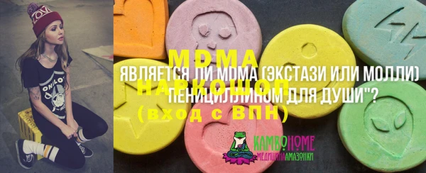 хмурый Ельня