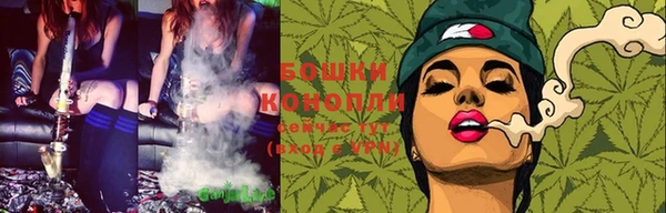 хмурый Ельня