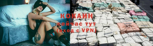 ГАЛЛЮЦИНОГЕННЫЕ ГРИБЫ Заводоуковск