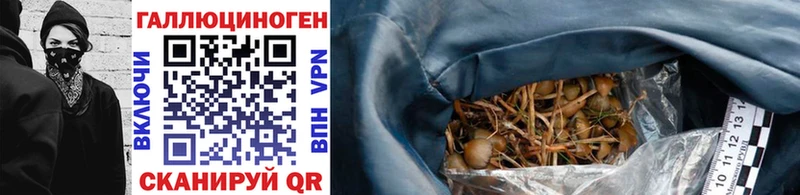 Псилоцибиновые грибы Psilocybe  Верхний Уфалей 